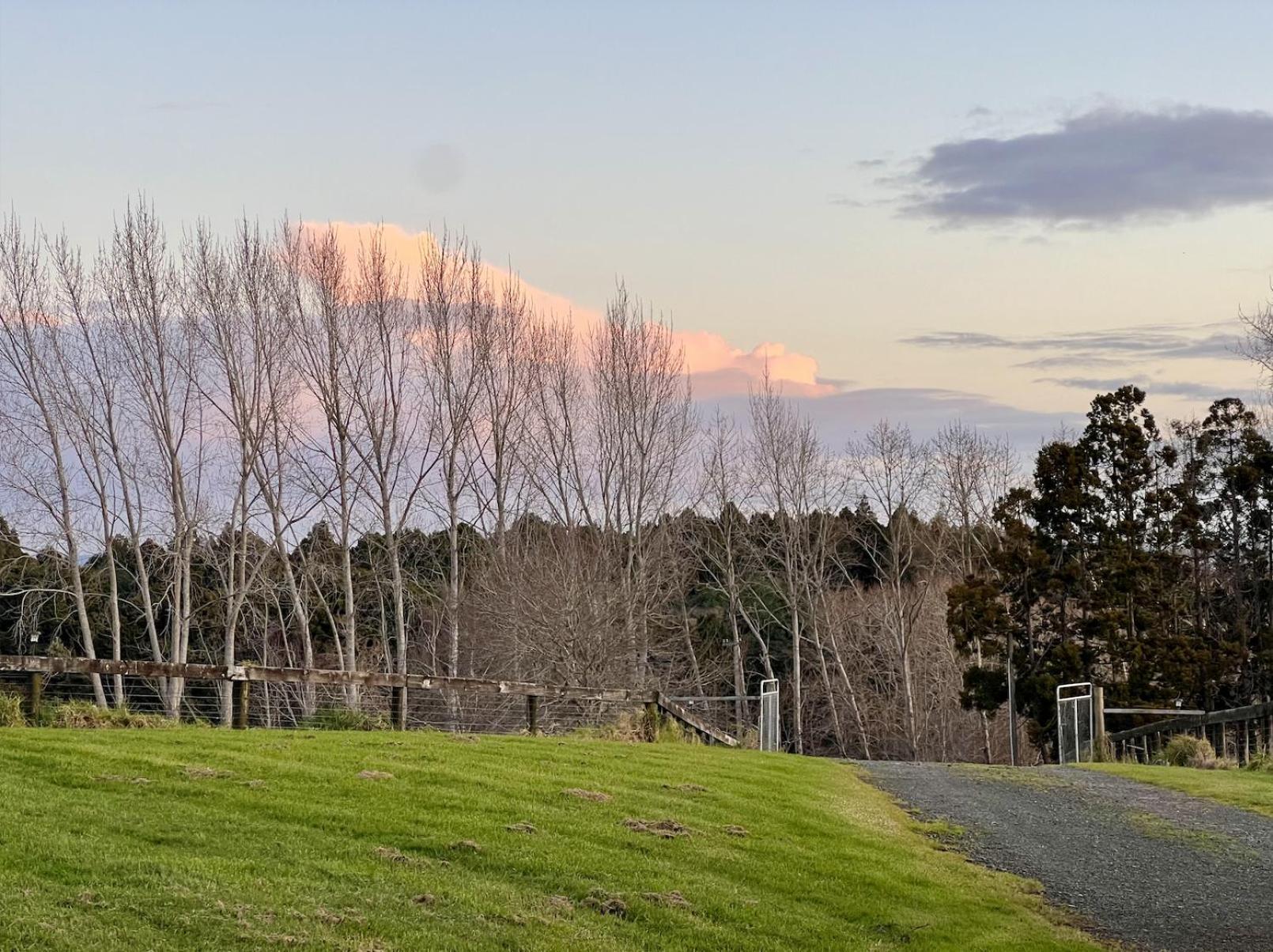 Ranfurly Holiday Home Auckland Extérieur photo